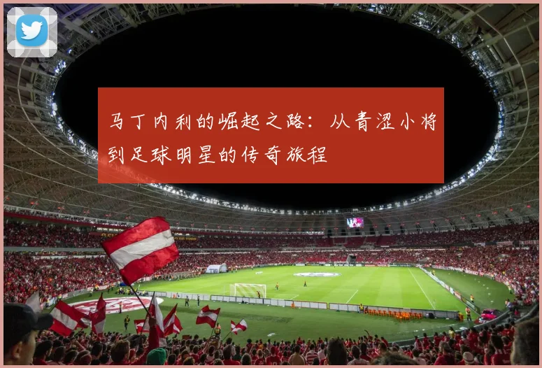 马丁内利的崛起之路：从青涩小将到足球明星的传奇旅程