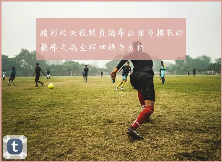 精彩对决视频直播希拉尔与棉农的巅峰之战全程回顾与分析