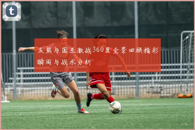 灰熊与国王激战360度全景回顾精彩瞬间与战术分析
